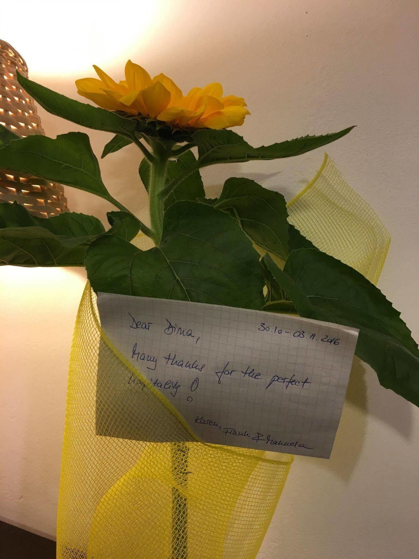 St. John Rome B&B Екстер'єр фото